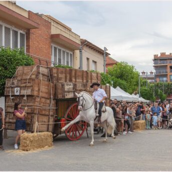 Festa del Carreter 2026 (58)