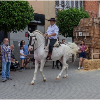 Festa del Carreter 2026 (59)