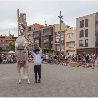 Festa del Carreter 2026 (60)