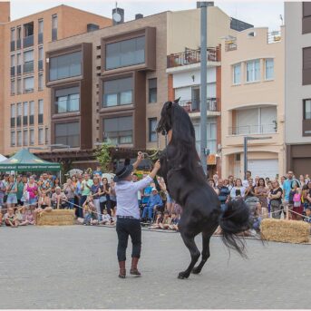 Festa del Carreter 2026 (61)