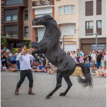 Festa del Carreter 2026 (63)